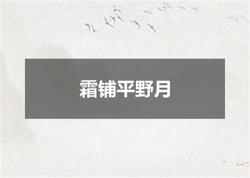 霜铺平野月
