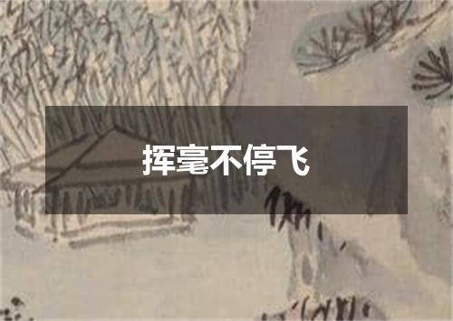 挥毫不停飞