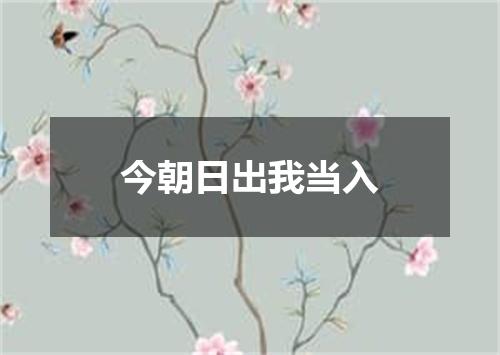 今朝日出我当入