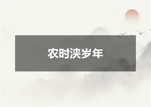 农时浃岁年