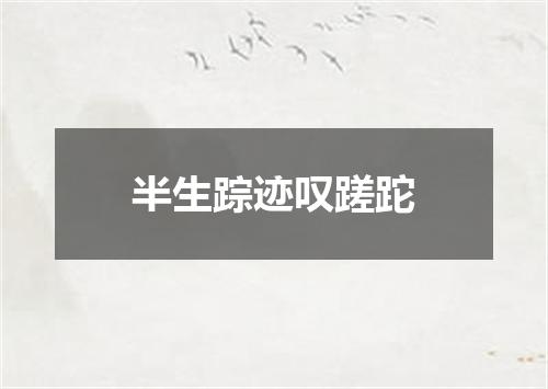 半生踪迹叹蹉跎