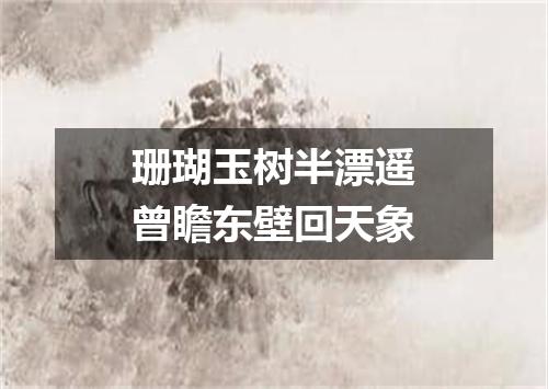 珊瑚玉树半漂遥曾瞻东壁回天象