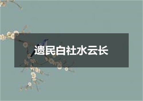 遗民白社水云长
