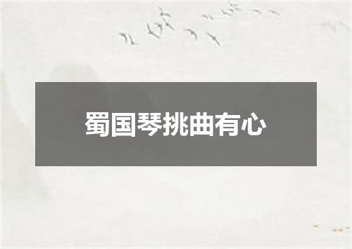 蜀国琴挑曲有心