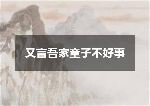 又言吾家童子不好事