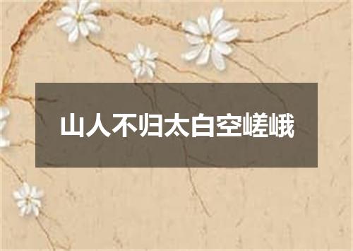 山人不归太白空嵯峨