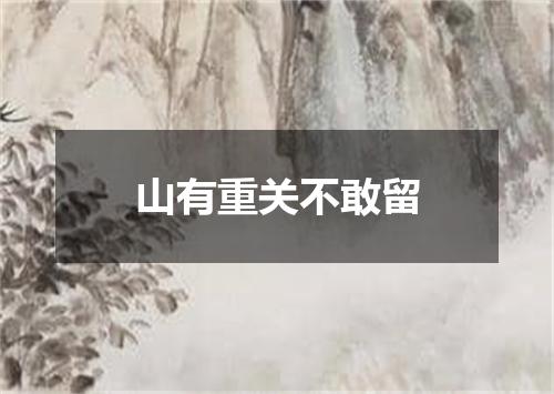 山有重关不敢留
