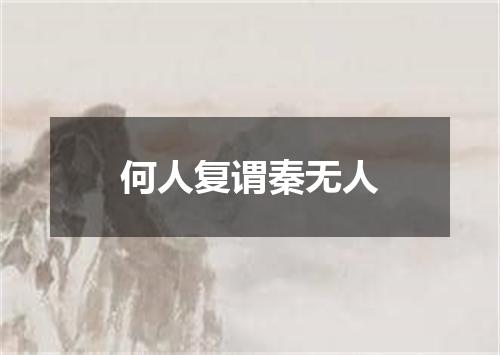 何人复谓秦无人