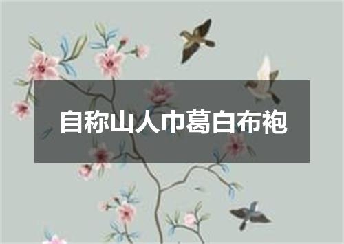 自称山人巾葛白布袍