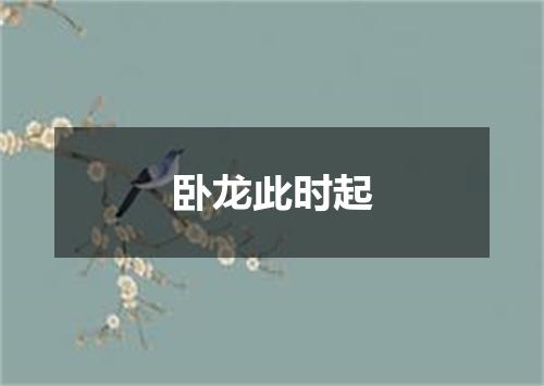 卧龙此时起