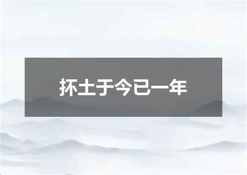 抔土于今已一年