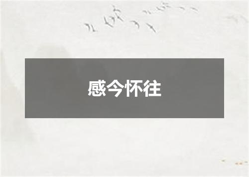 感今怀往