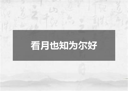 看月也知为尔好