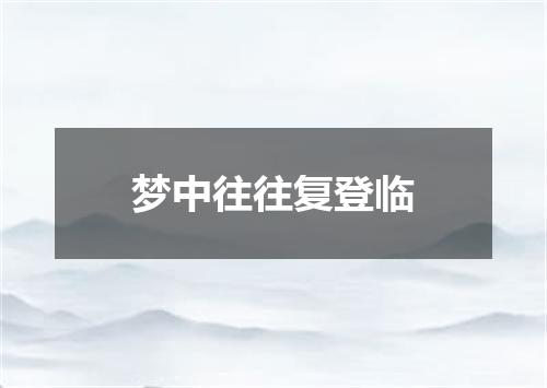 梦中往往复登临