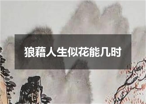 狼藉人生似花能几时