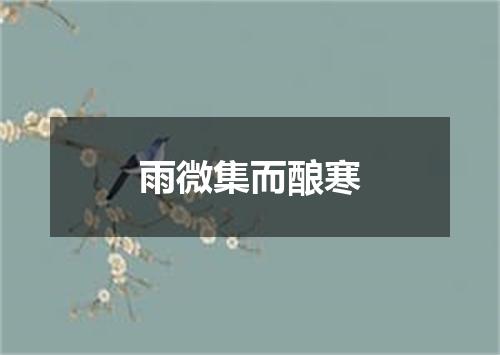 雨微集而酿寒