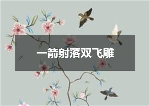 一箭射落双飞雕