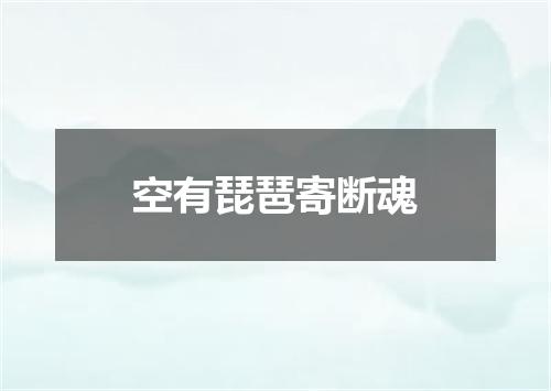 空有琵琶寄断魂