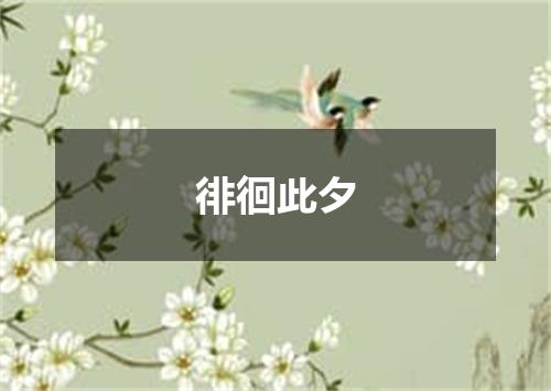 徘徊此夕