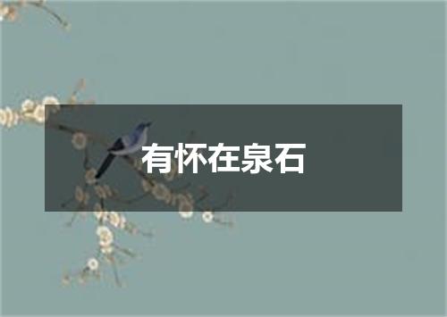 有怀在泉石