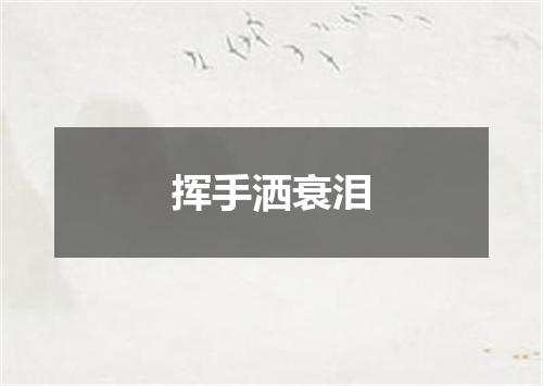 挥手洒衰泪