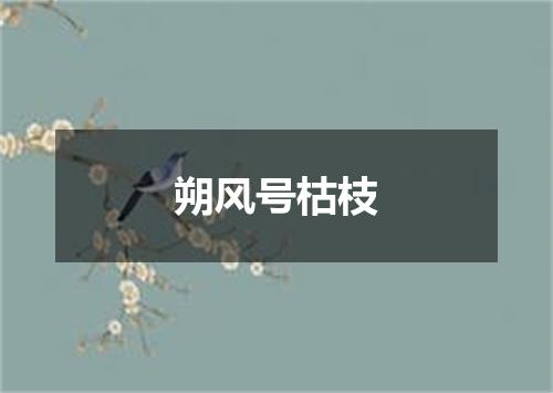 朔风号枯枝