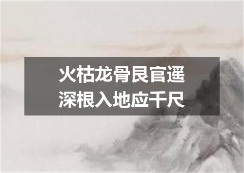 火枯龙骨艮官遥深根入地应千尺