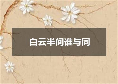 白云半间谁与同