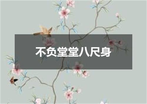 不负堂堂八尺身