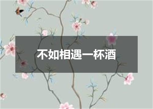 不如相遇一杯酒