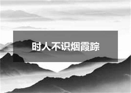 时人不识烟霞踪