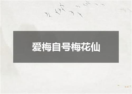 爱梅自号梅花仙