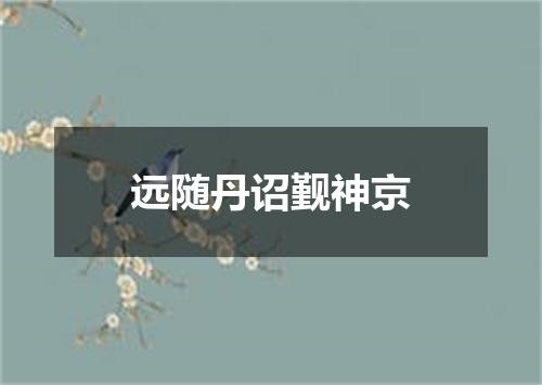 远随丹诏觐神京