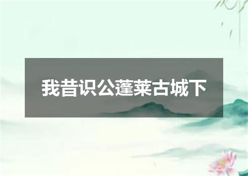 我昔识公蓬莱古城下