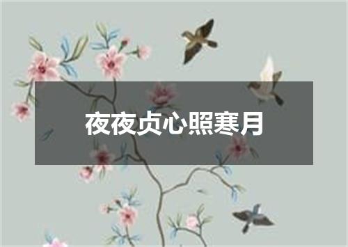 夜夜贞心照寒月