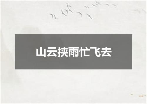 山云挟雨忙飞去
