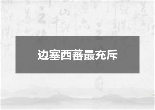 边塞西蕃最充斥