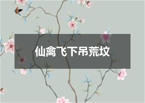 仙禽飞下吊荒坟