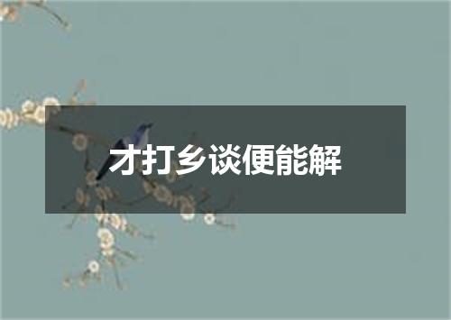 才打乡谈便能解