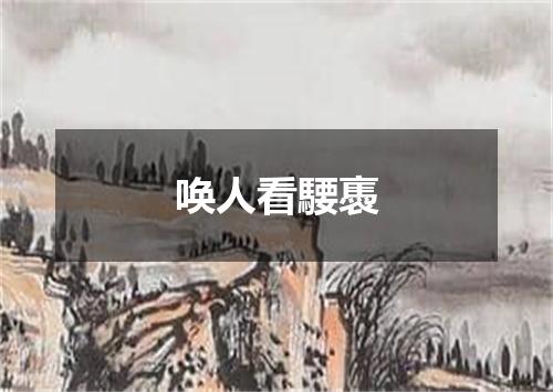 唤人看騕褭