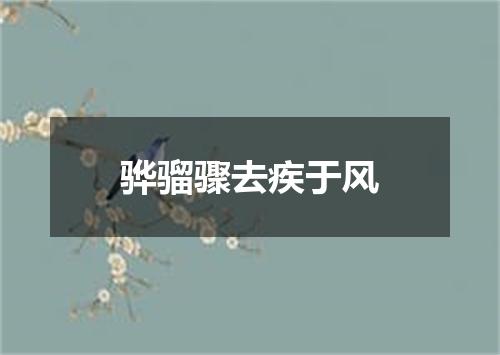 骅骝骤去疾于风