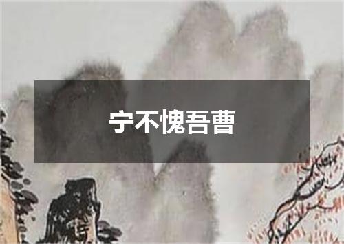 宁不愧吾曹
