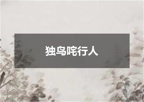 独鸟咤行人