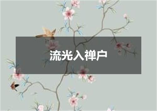 流光入禅户