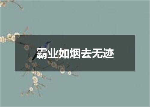 霸业如烟去无迹