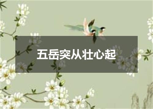 五岳突从壮心起