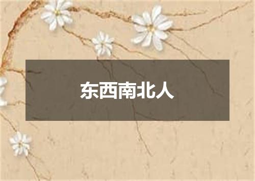 东西南北人