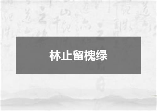 林止留槐绿