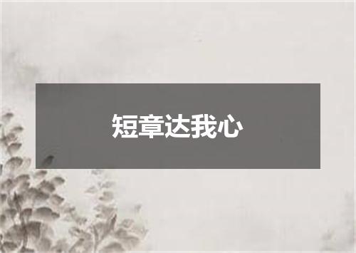 短章达我心