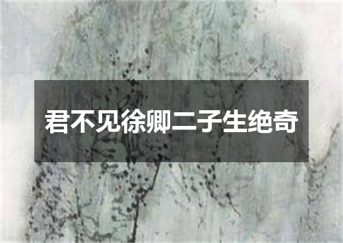 君不见徐卿二子生绝奇